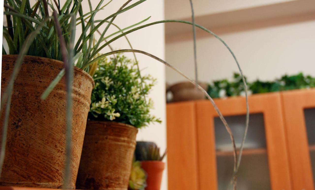 Acropolis, Urban Lifestyle Apartment Афины Экстерьер фото
